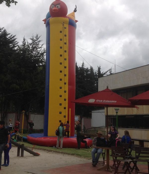 MURO DE ESCALAR