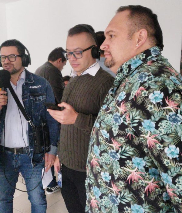 formulacion de proyecots artitsticos en bogota 5